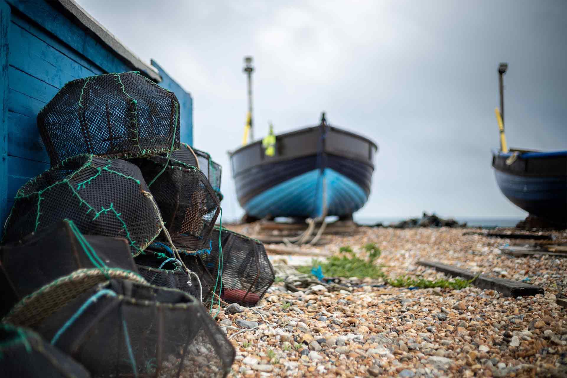 <strong>Did you know?</strong>