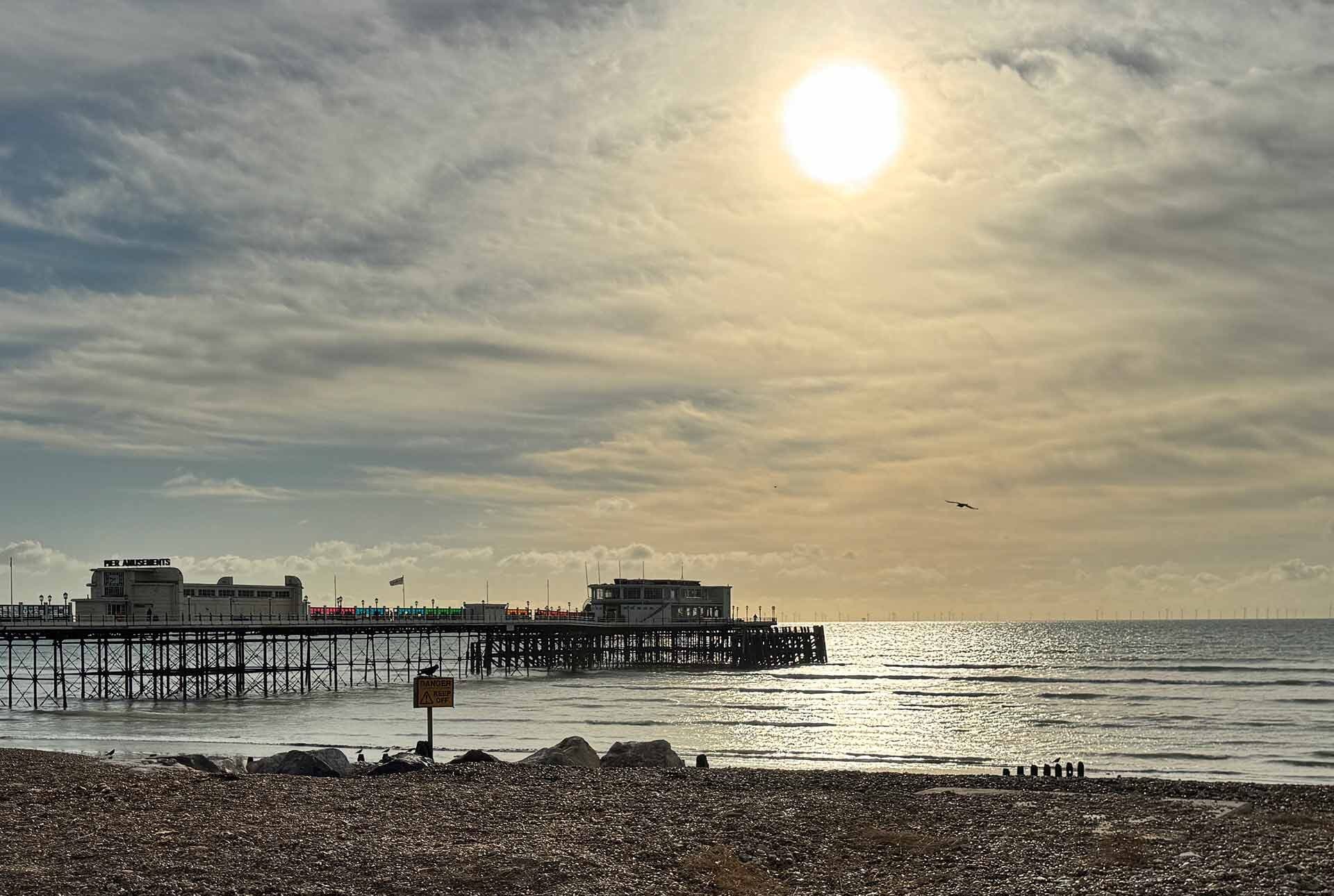 <strong>Key Property and Demographic Insights</strong>