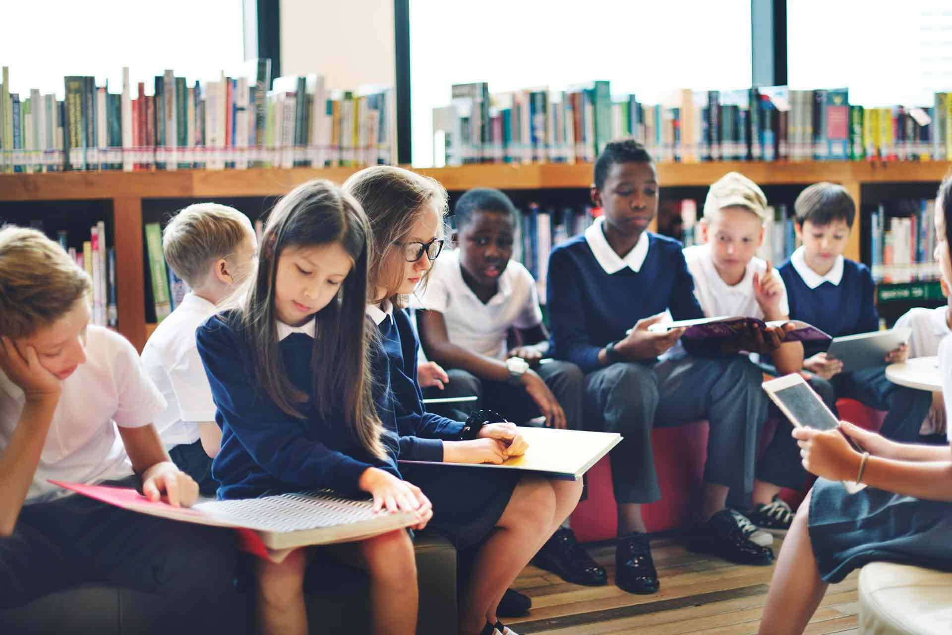 <strong>Schools</strong>