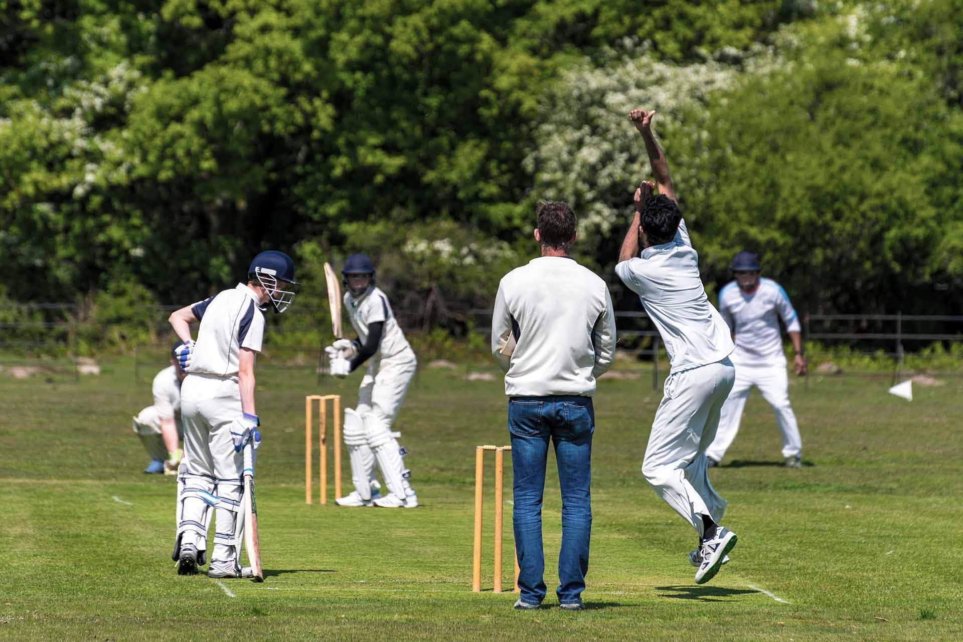 <strong>Did you know?</strong>