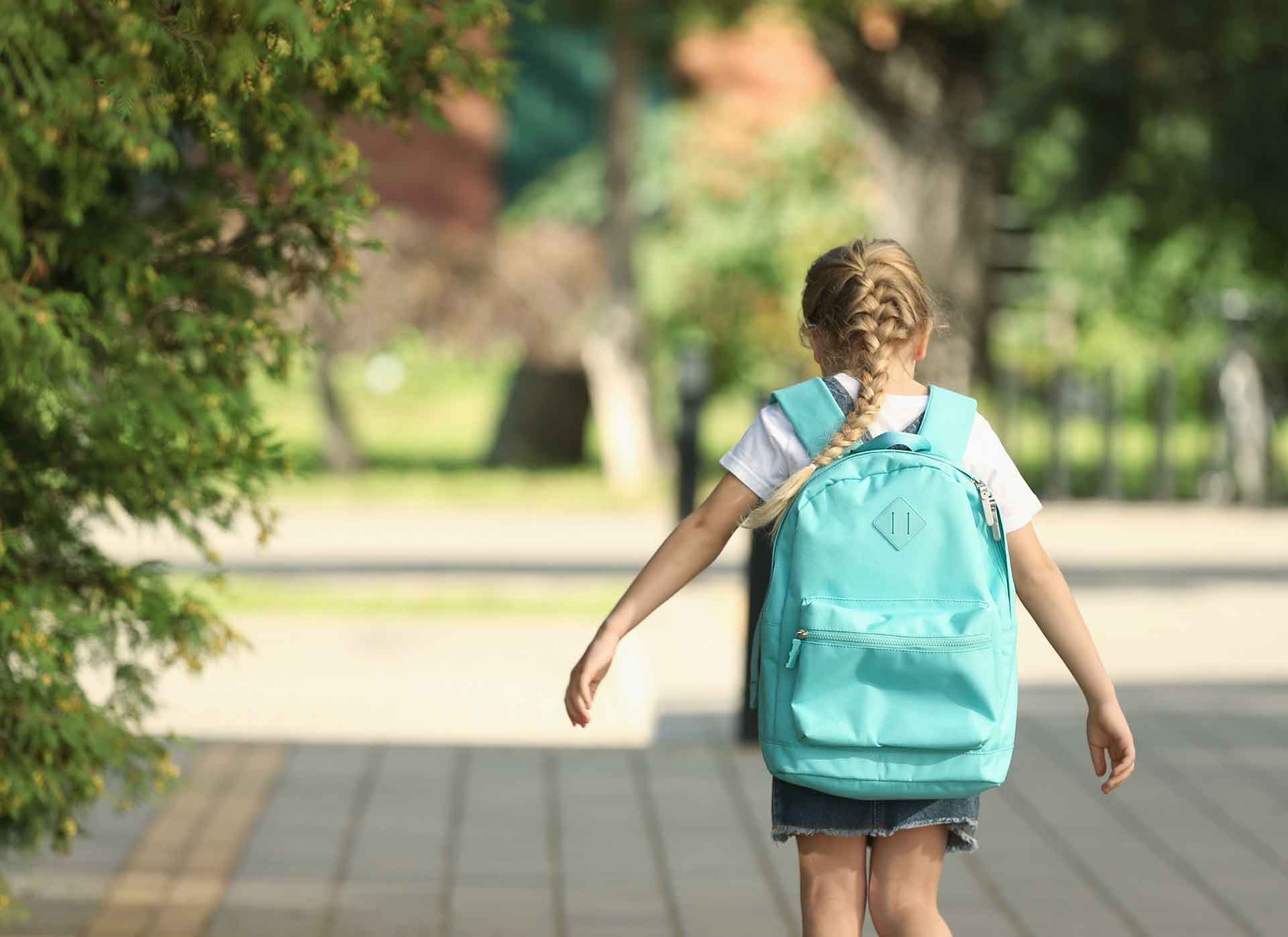 <strong>Schools</strong>